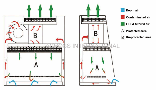 Biosafety Cabinets air flow 