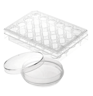 Cell Culture Products