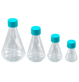 Erlenmeyer Flasks
