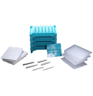 PCR Products