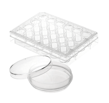 Cell Culture Products