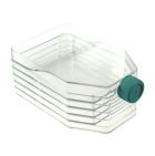 NEST Cell Culture Flasks